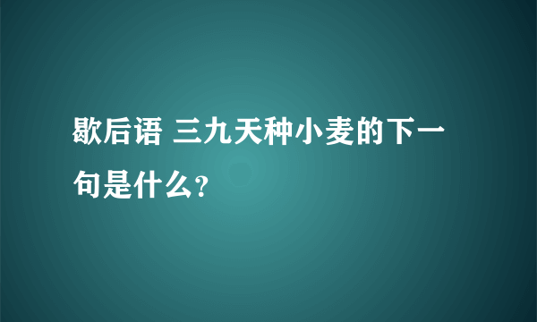 歇后语 三九天种小麦的下一句是什么？