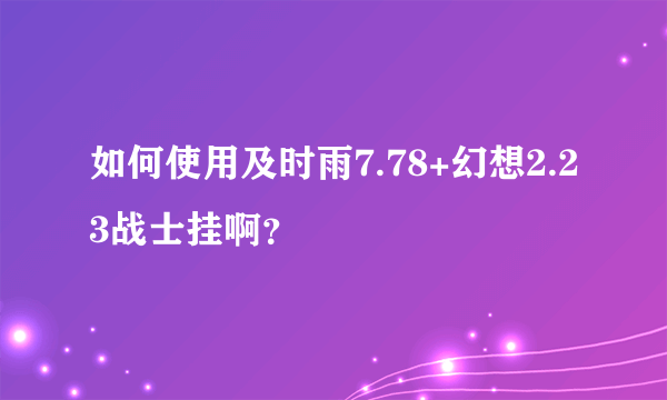 如何使用及时雨7.78+幻想2.23战士挂啊？