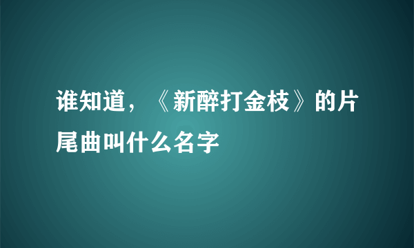 谁知道，《新醉打金枝》的片尾曲叫什么名字