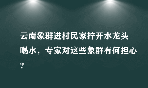 云南象群进村民家拧开水龙头喝水，专家对这些象群有何担心？