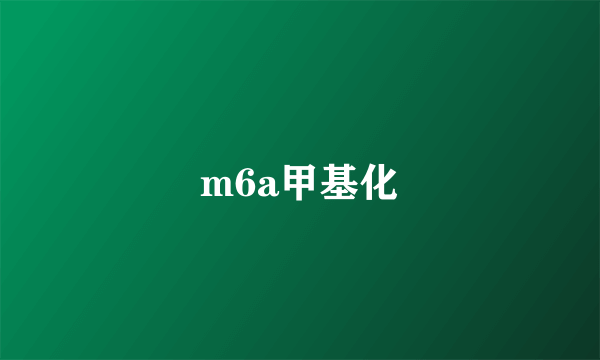 m6a甲基化