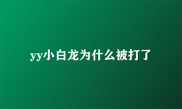 yy小白龙为什么被打了