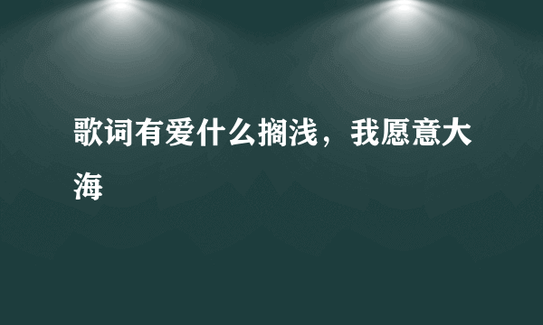 歌词有爱什么搁浅，我愿意大海