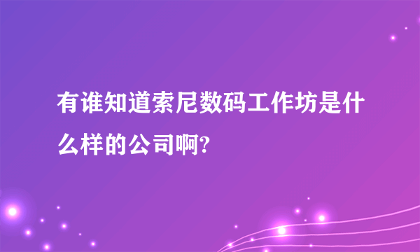 有谁知道索尼数码工作坊是什么样的公司啊?