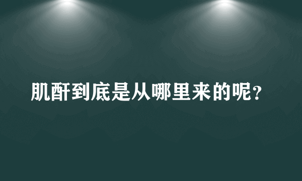 肌酐到底是从哪里来的呢？