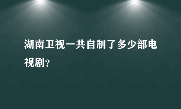 湖南卫视一共自制了多少部电视剧？