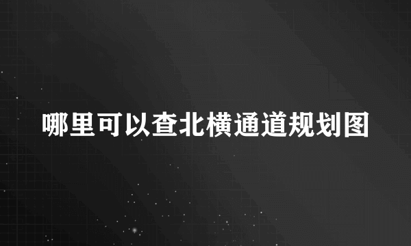 哪里可以查北横通道规划图