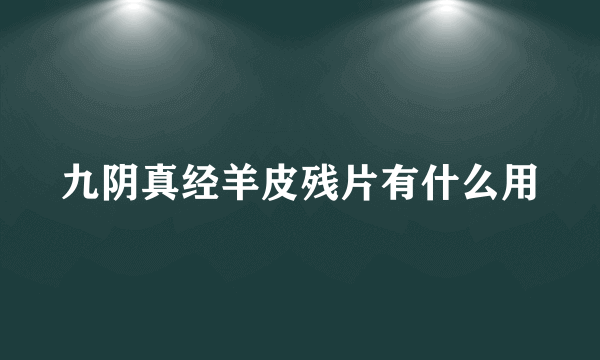 九阴真经羊皮残片有什么用