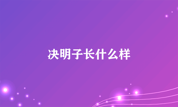 决明子长什么样