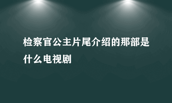 检察官公主片尾介绍的那部是什么电视剧