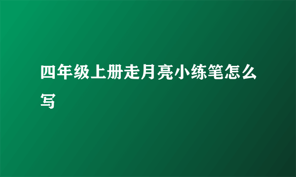 四年级上册走月亮小练笔怎么写