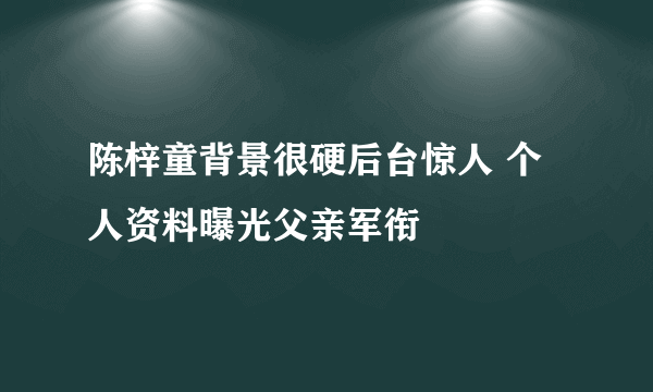 陈梓童背景很硬后台惊人 个人资料曝光父亲军衔