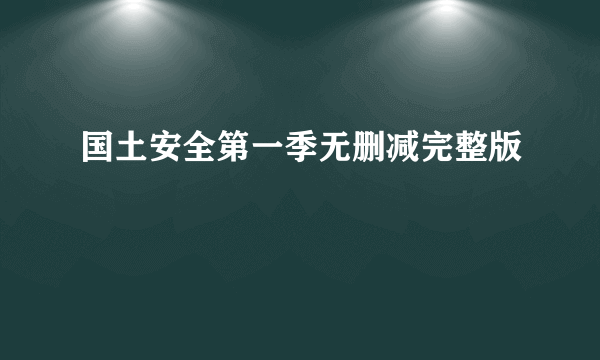 国土安全第一季无删减完整版