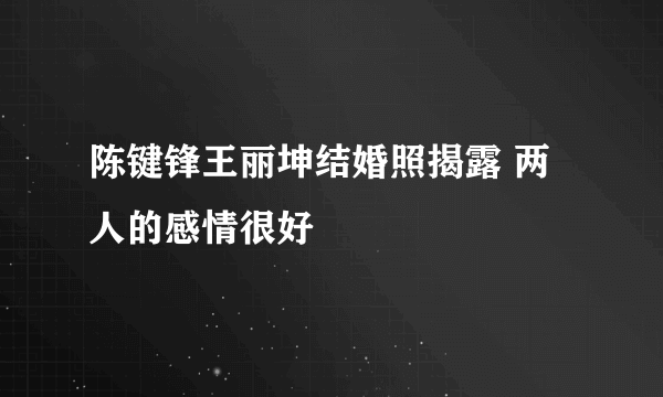 陈键锋王丽坤结婚照揭露 两人的感情很好