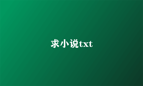 求小说txt