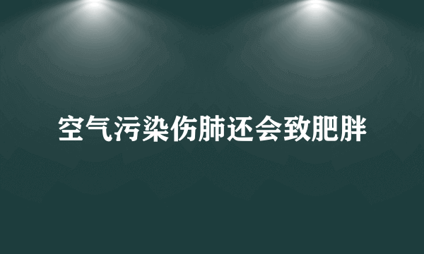 空气污染伤肺还会致肥胖