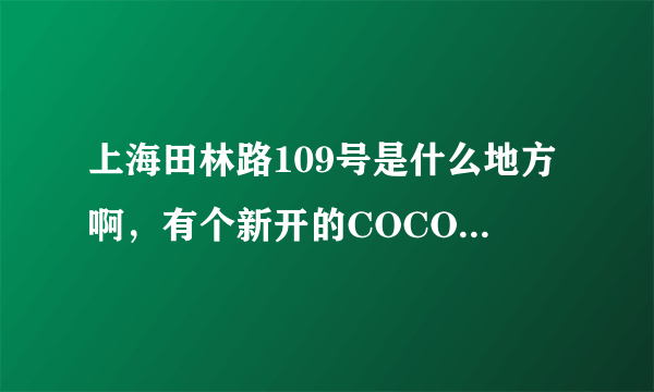 上海田林路109号是什么地方啊，有个新开的COCO酒吧吗？