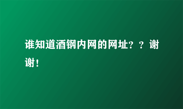 谁知道酒钢内网的网址？？谢谢！