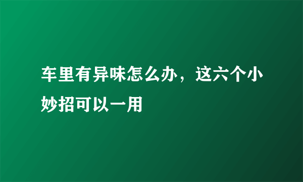 车里有异味怎么办，这六个小妙招可以一用