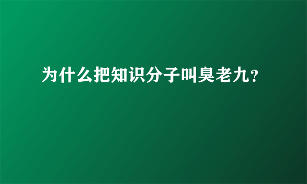 为什么把知识分子叫臭老九？