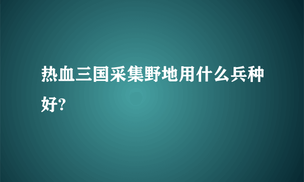 热血三国采集野地用什么兵种好?