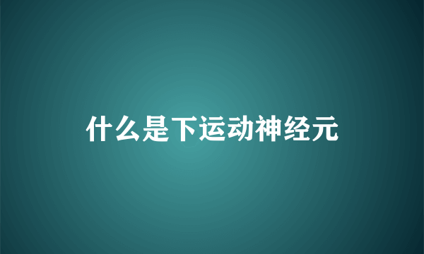 什么是下运动神经元