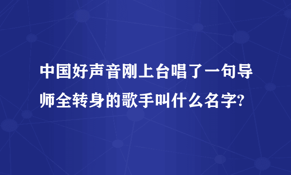 中国好声音刚上台唱了一句导师全转身的歌手叫什么名字?