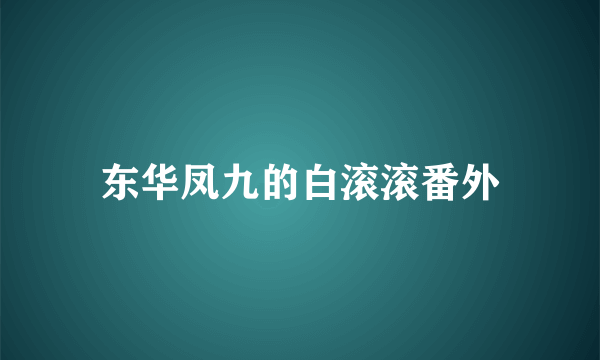 东华凤九的白滚滚番外