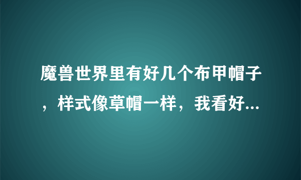 魔兽世界里有好几个布甲帽子，样式像草帽一样，我看好多人带过，忘记叫什么名字了。有没有高人帮忙？