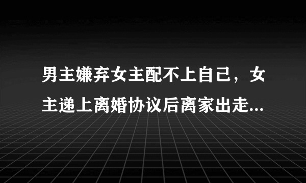 男主嫌弃女主配不上自己，女主递上离婚协议后离家出走，男主自己