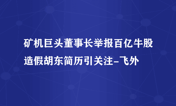 矿机巨头董事长举报百亿牛股造假胡东简历引关注-飞外