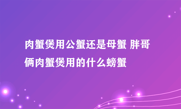 肉蟹煲用公蟹还是母蟹 胖哥俩肉蟹煲用的什么螃蟹