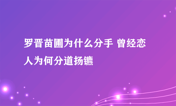 罗晋苗圃为什么分手 曾经恋人为何分道扬镳