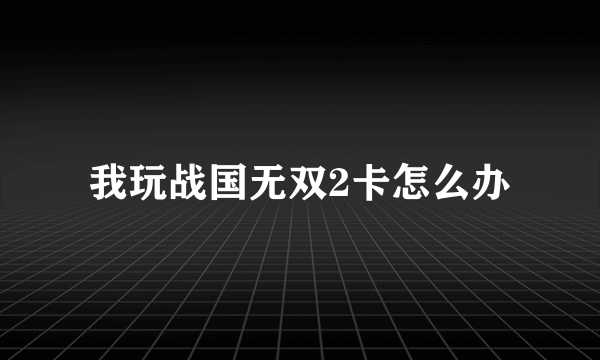 我玩战国无双2卡怎么办