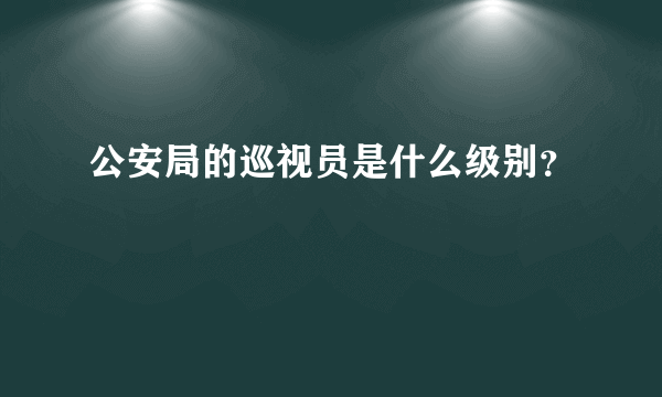 公安局的巡视员是什么级别？