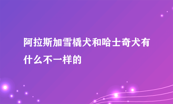 阿拉斯加雪橇犬和哈士奇犬有什么不一样的