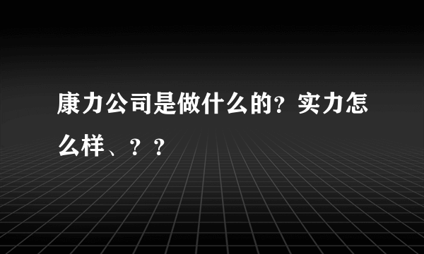 康力公司是做什么的？实力怎么样、？？