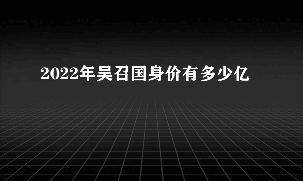 2022年吴召国身价有多少亿