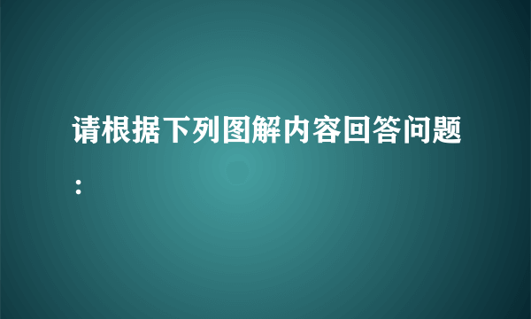 请根据下列图解内容回答问题：