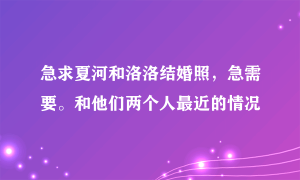 急求夏河和洛洛结婚照，急需要。和他们两个人最近的情况