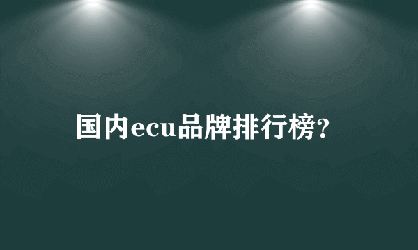 国内ecu品牌排行榜？