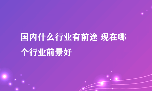 国内什么行业有前途 现在哪个行业前景好