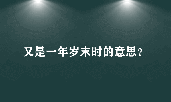 又是一年岁末时的意思？