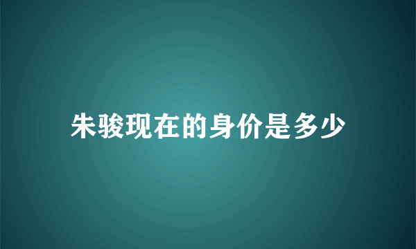 朱骏现在的身价是多少