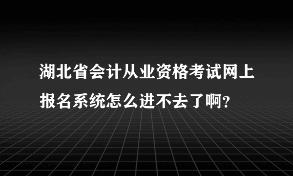 湖北省会计从业资格考试网上报名系统怎么进不去了啊？