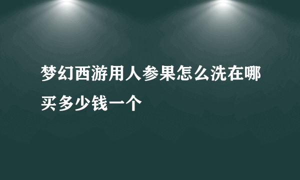 梦幻西游用人参果怎么洗在哪买多少钱一个