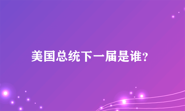 美国总统下一届是谁？