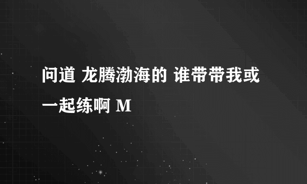 问道 龙腾渤海的 谁带带我或一起练啊 M