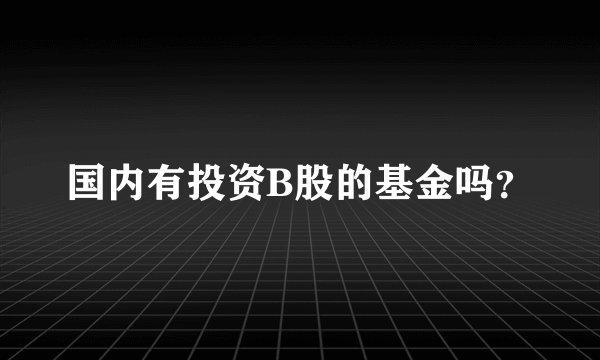 国内有投资B股的基金吗？