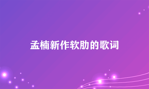 孟楠新作软肋的歌词